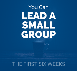 YOU CAN LEAD A SMALL GROUP